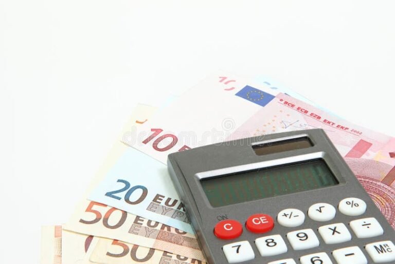 Come Funziona la Partita IVA con Fisso Mensile per le Tasse