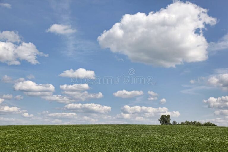 Come si calcola l'IMU sui terreni agricoli e non edificabili 6 Come si calcola l’IMU sui terreni agricoli e non edificabili