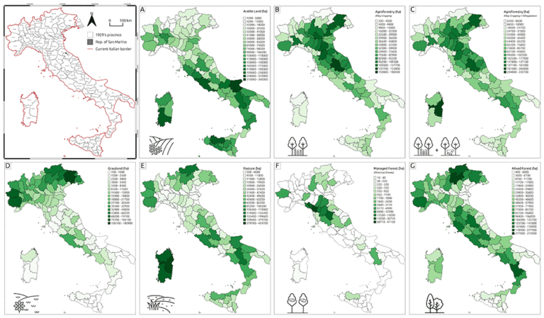 Cos’è il Catasto dei Terreni Agricoli e Come Funziona in Italia