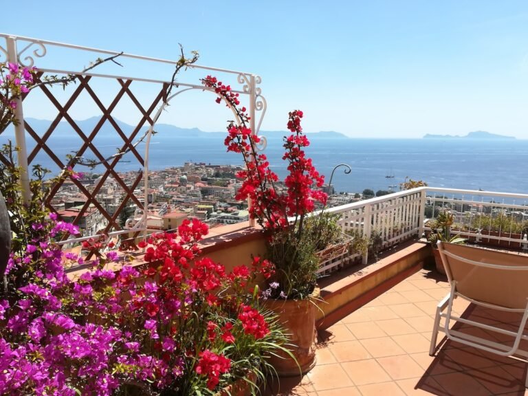 Come Trovare un Affitto Casa a Santa Maria Capua Vetere 8 Come Trovare un Affitto Casa a Santa Maria Capua Vetere