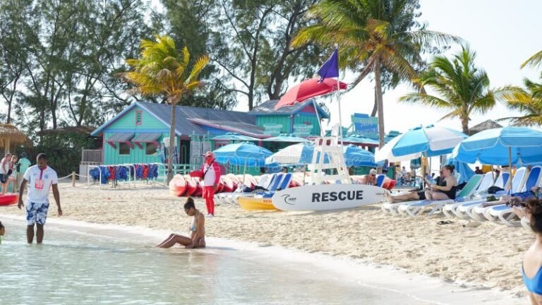 Quali sono le migliori attività al Lido Nettuno Marina di Camerota