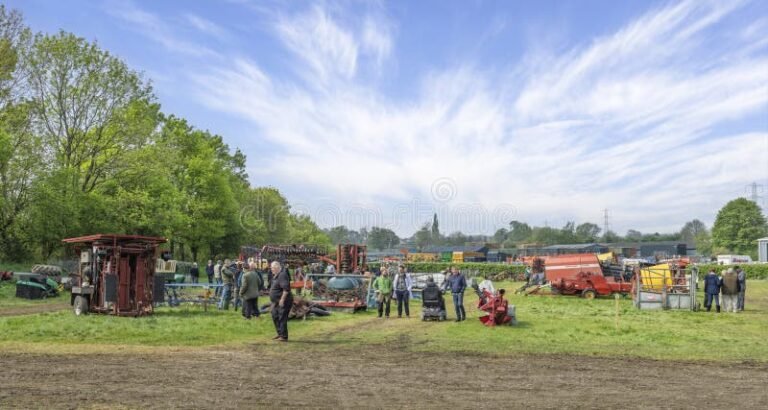 Dove Trovare Aste di Macchine Agricole Usate Convenienti